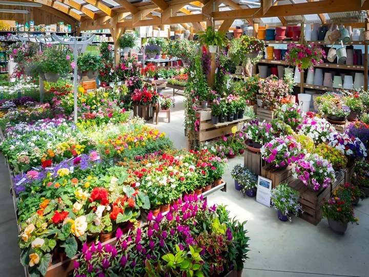  Tout pour entretenir et embellir vos extérieurs