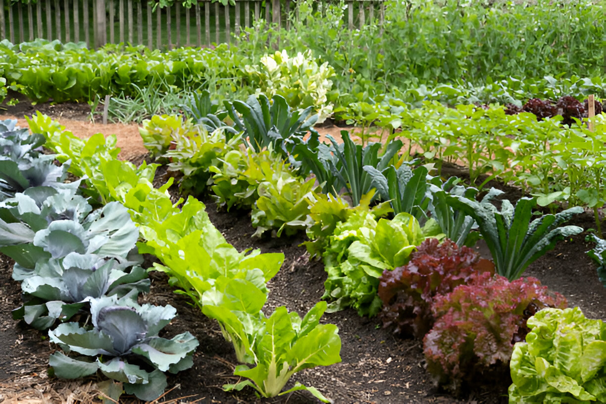 Ambiance au Jardin