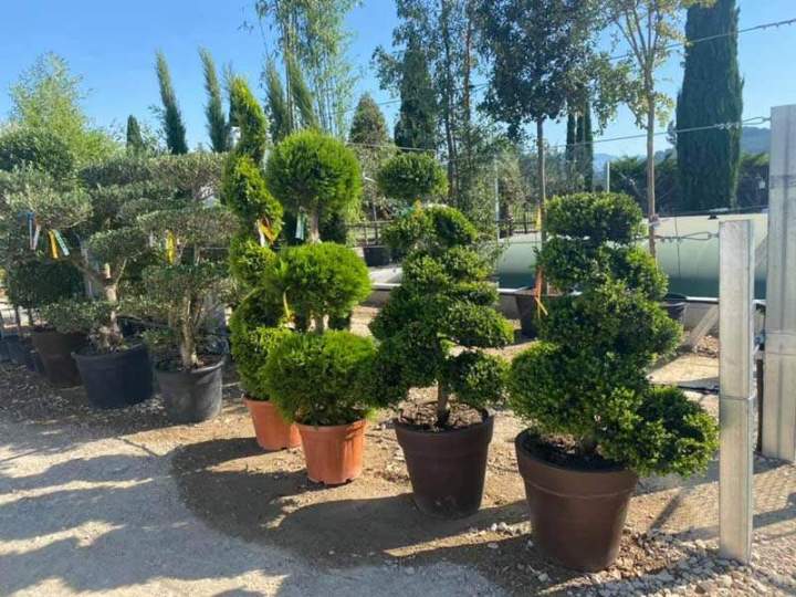 Pépinière et jardin Cadenet