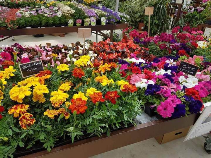 Boutique de jardinage Pertuis