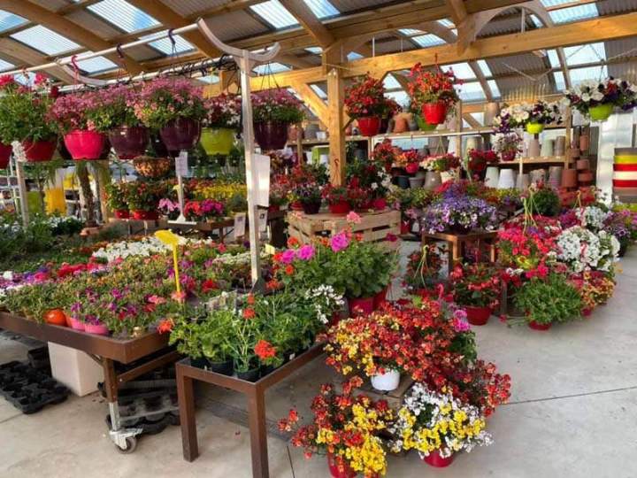 Magasin de plantes Cadenet