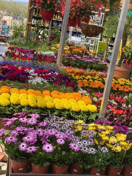 Magasin de jardinage Cadenet