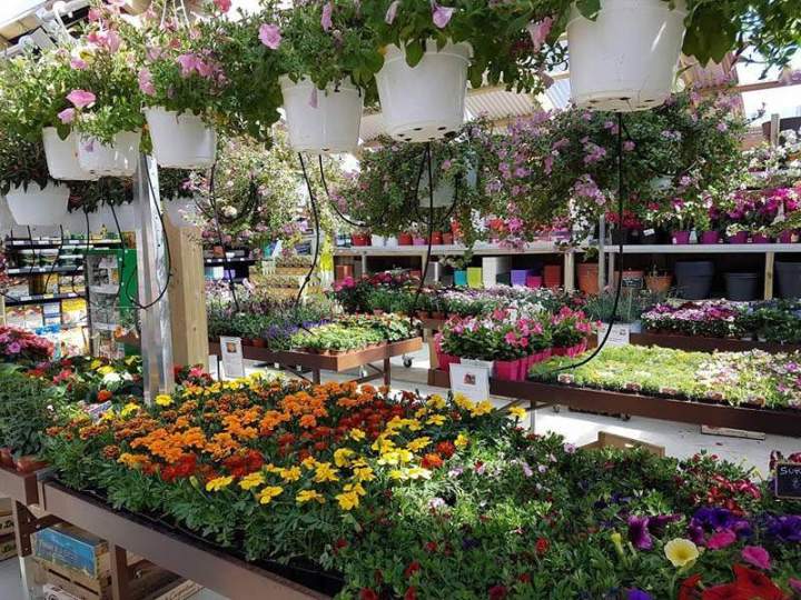 Boutique de jardinage Pertuis