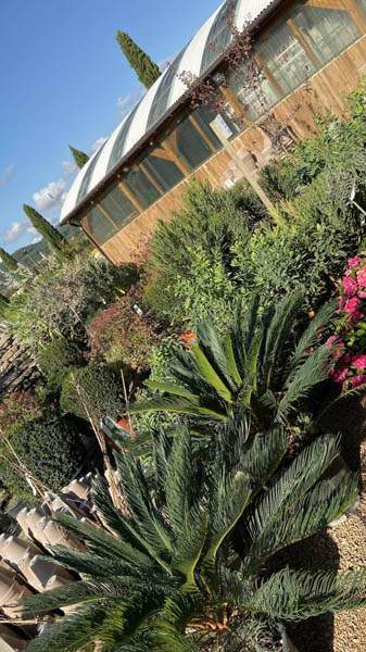 Pépinière et jardin Cadenet