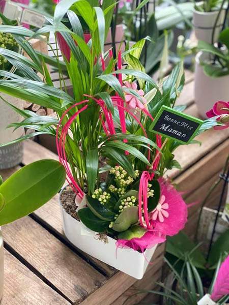 Magasin de plantes et jardin Cadenet
