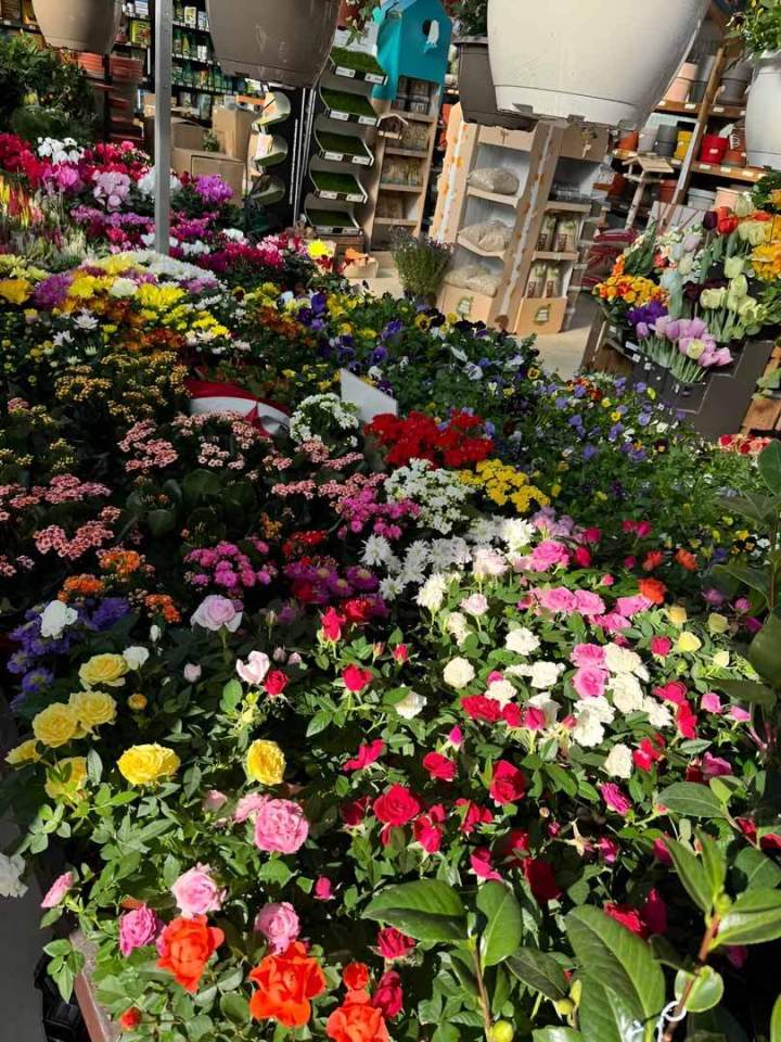 Boutique de jardinage Cadenet