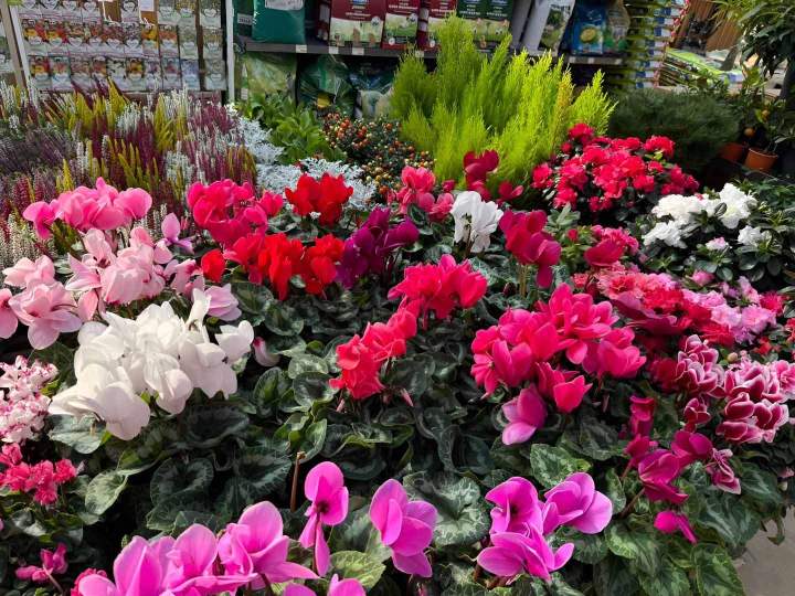 Magasin de plantes et jardin Cadenet