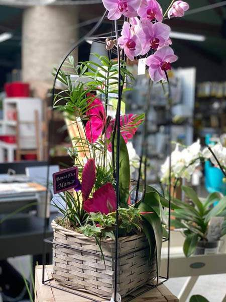 Produits de jardinage Cadenet