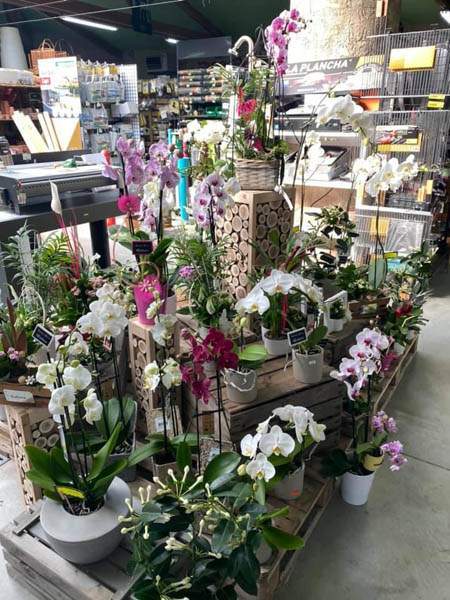 Boutique de jardinage Cadenet