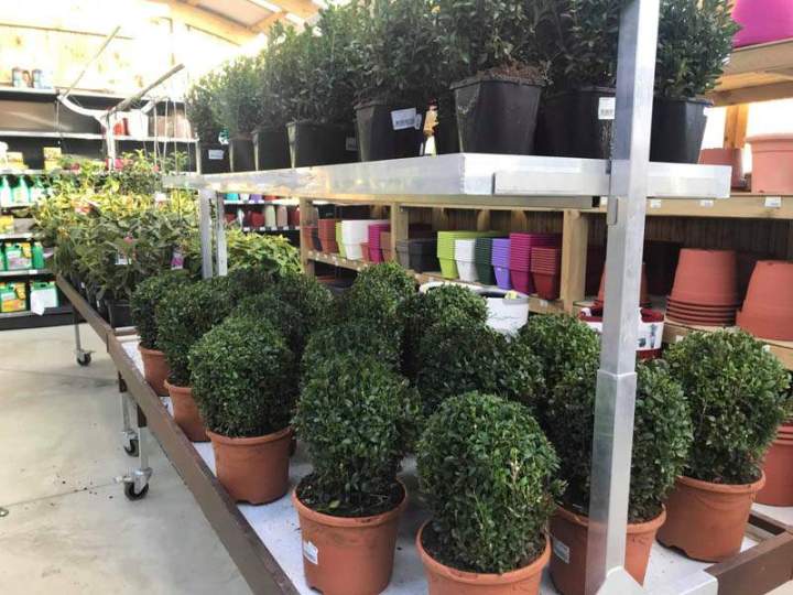 Plantes et fleurs extérieures Cadenet