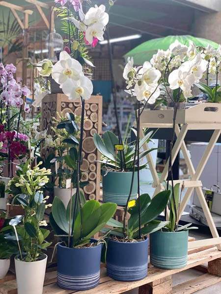 Boutique de jardinage Cadenet