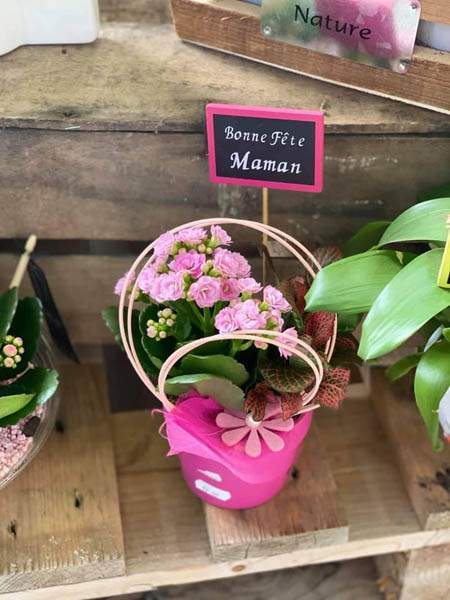 Boutique de jardinage Cadenet