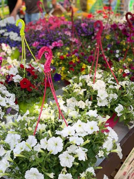 Magasin de plantes Cadenet