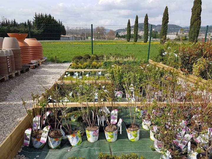 Plantes et arbustes Cadenet