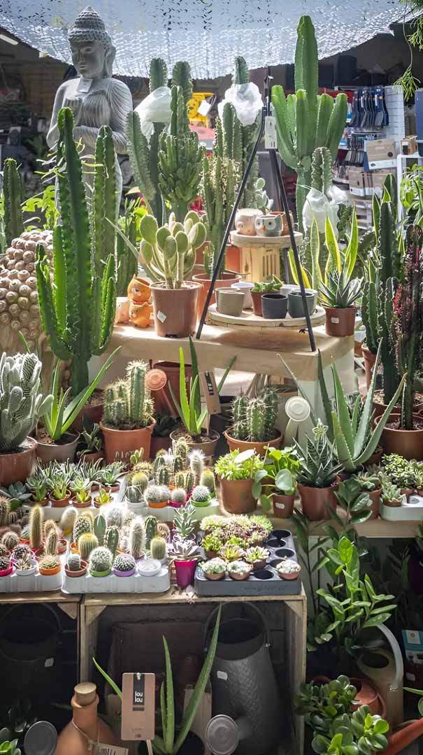 Articles de jardin CadenMagasin de jardin Cadenet