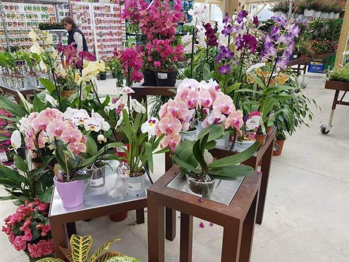 Boutique de plantes et jardin Cadenet