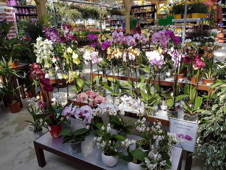 Jardinage et accessoires Cadenet