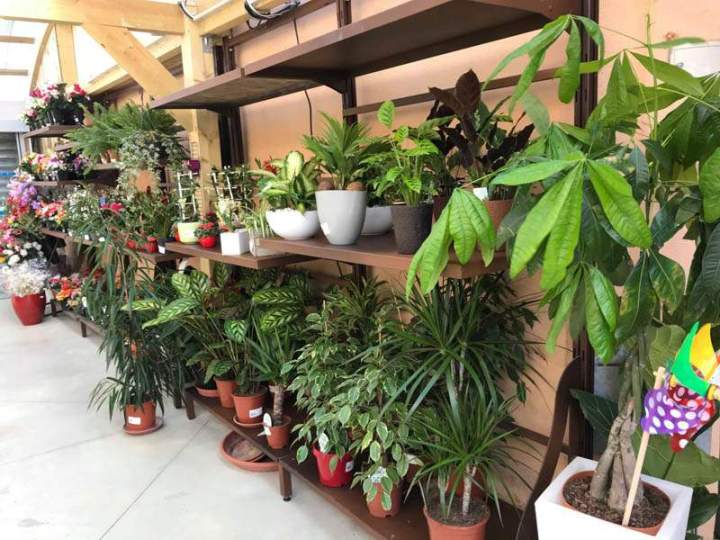 Magasin de plantes et jardin Cadenet