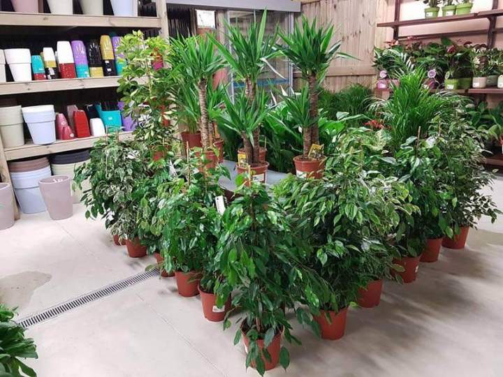 Matériel de jardinage Cadenet