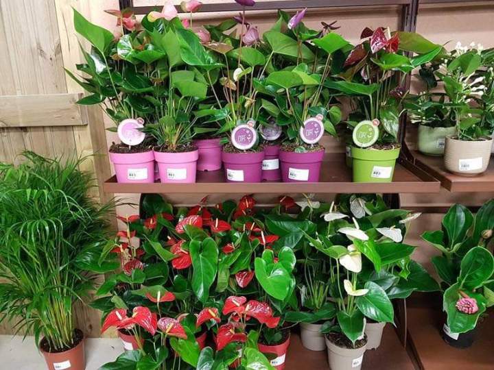 Produits de jardinage Cadenet