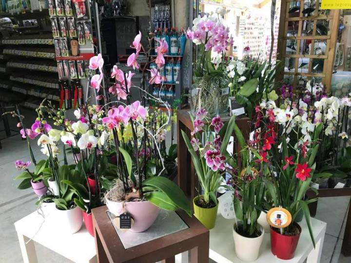 Vente de matériel de jardin Cadenet