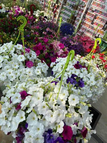 Boutique de jardinage Cadenet