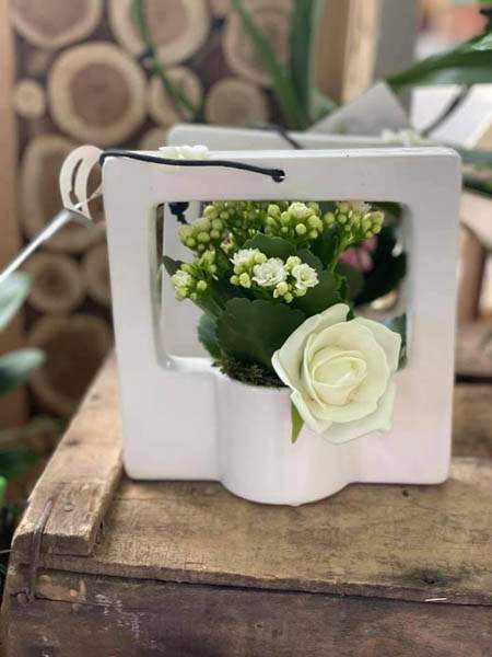 Articles de jardin Pertuis