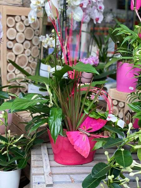 Magasin de jardinage Cadenet