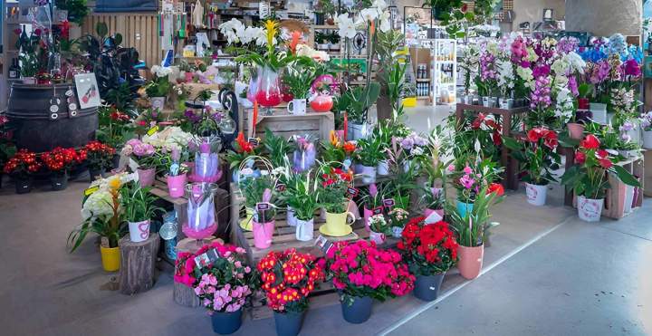 Magasin de plantes et jardin Cadenet