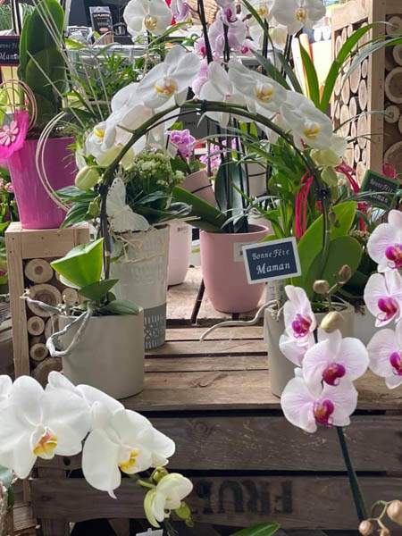 Boutique de jardinage Cadenet