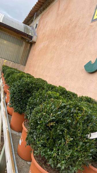 Boutique de jardinage Cadenet