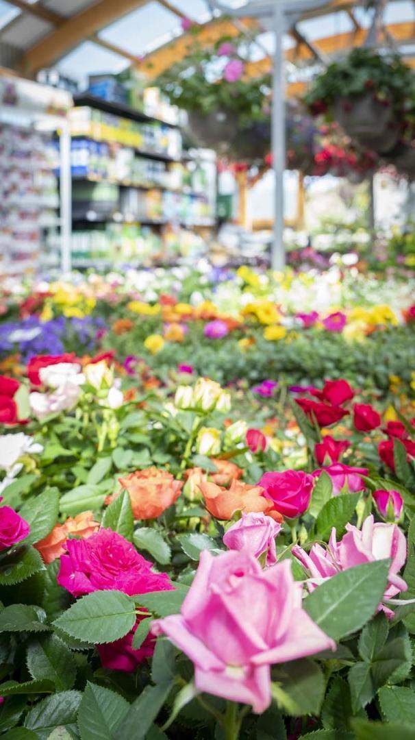 Magasin de jardinage Cadenet